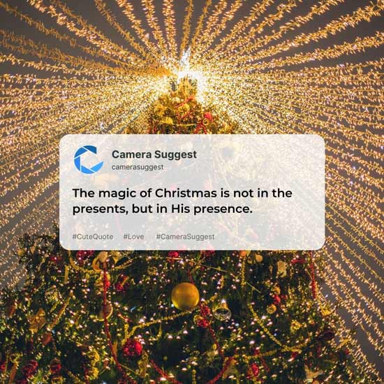 Cute Christmas Quotes