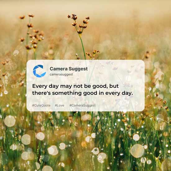 Cute Quotes About Life