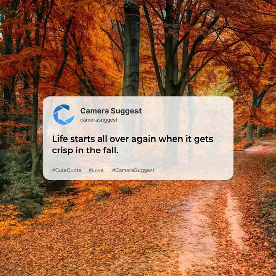 Fall Instagram Captions